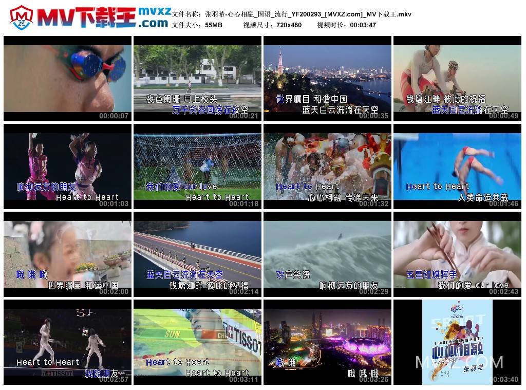张羽希-心心相融_国语_流行_YF200293